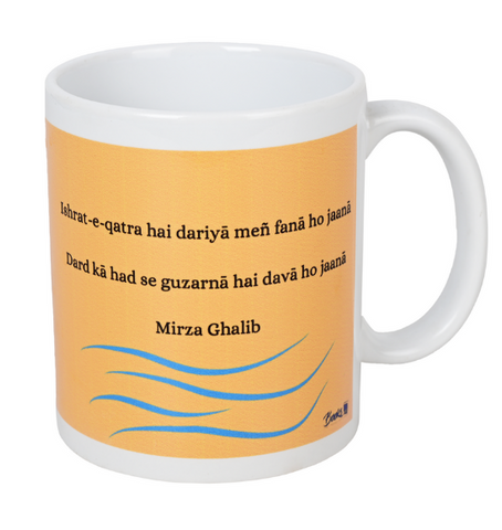 I am not a book worm, I am a book dragon Mug