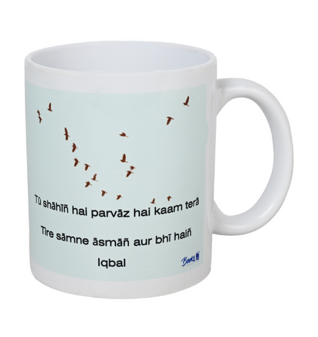 I am not a book worm, I am a book dragon Mug