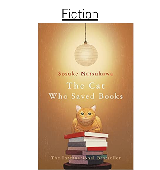 The Cat Who Saved Books by Sosuke Natsukawa