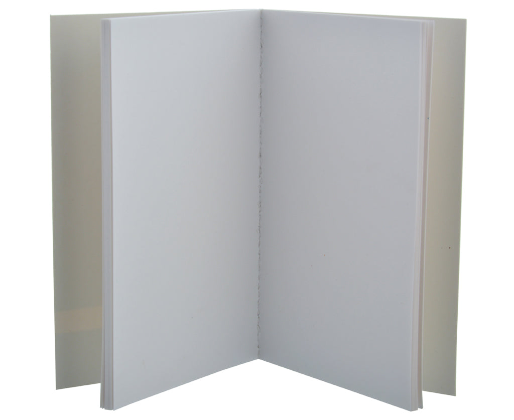 Pocket notebooks set (Pack of 2) Dracula & 1984