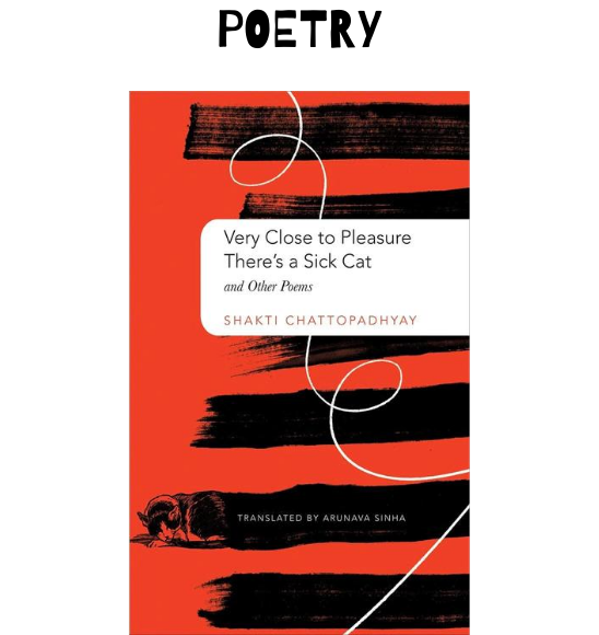 Very Close to Pleasure There’s a Sick Cat - Shakti Chattopadhyay