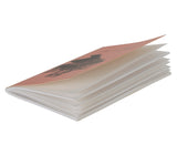 Pocket Notebooks Set (Pack of 2) - Pride and Prejudice